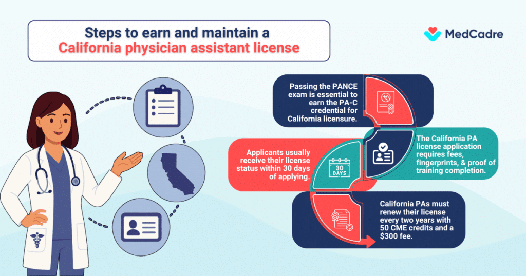 The physician assistant role