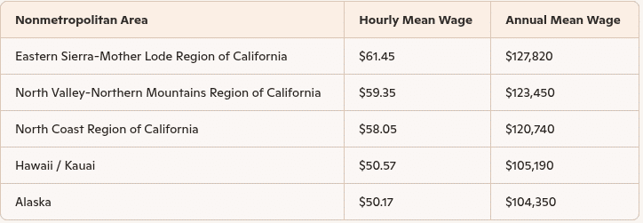 Registered nurses by nonmetropolitan area